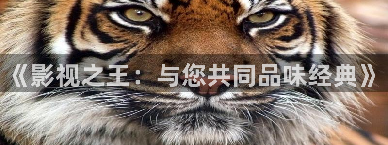 神马影院理伦理片