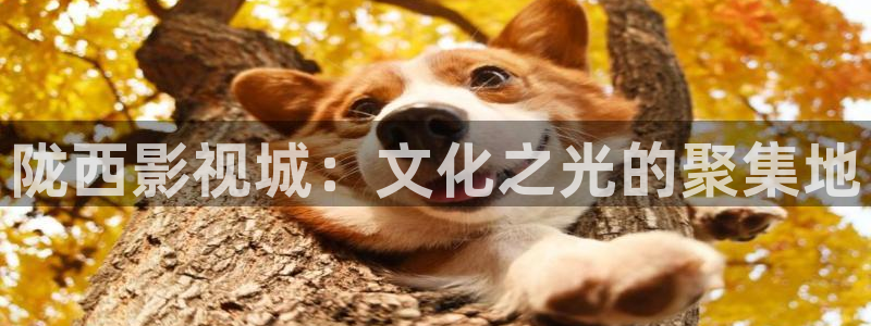原来的神马电影完整版在线观看