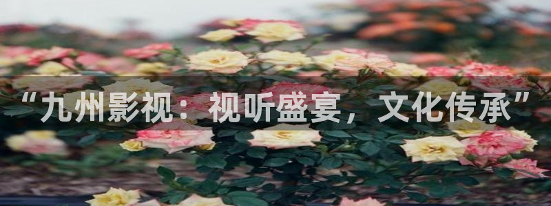 神马电影九