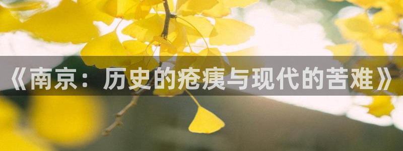 神马影院伦理免费观看