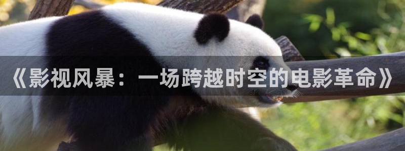 神马影视888不卡影院