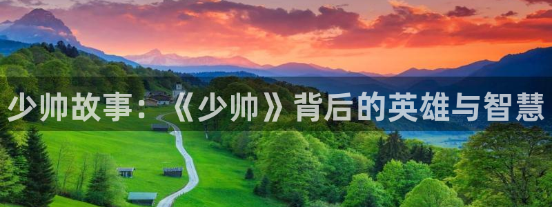 手机在线观看神马影院