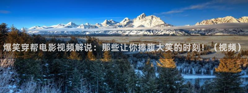 神马达达兔电视剧影视