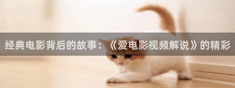 神马电影三级理论片
