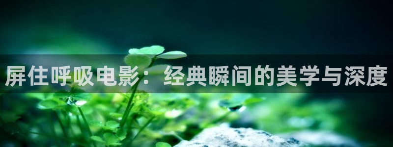 神马理伦影院