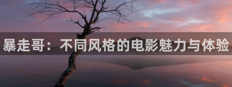 韩国电影神马