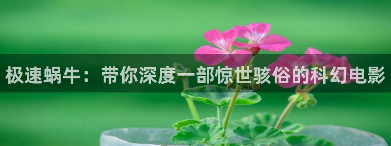 无颜之月神马影院