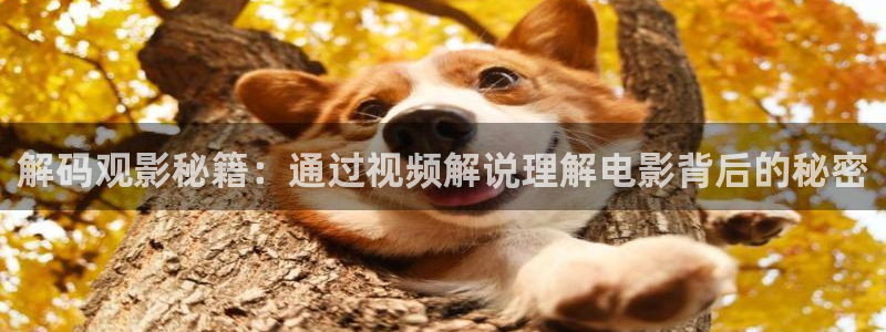 神马电影日本电影