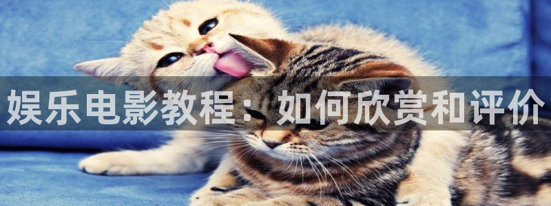 神马影院dy9999