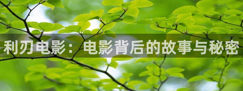 新闻图片