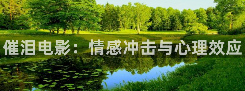 神马电影网琪