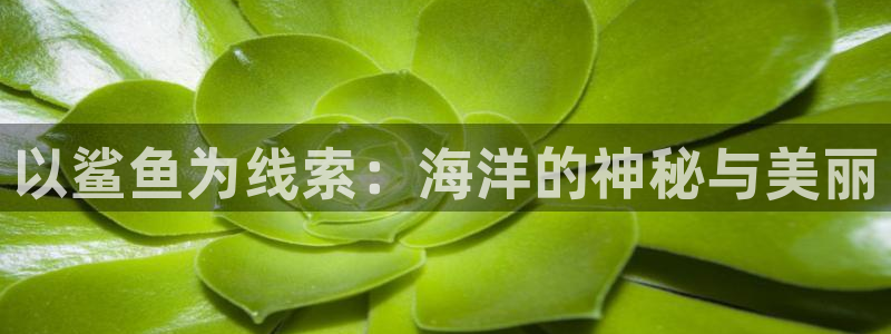 97秋霞神马电影院