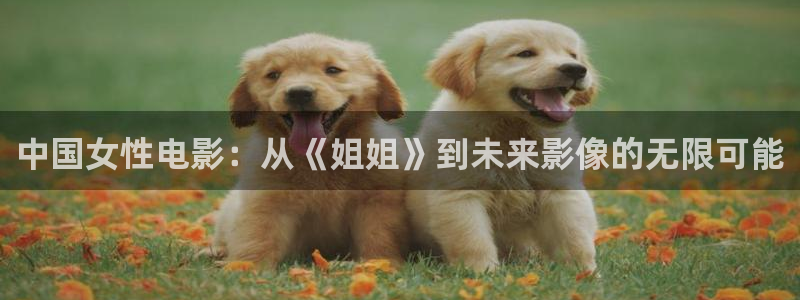 神马电影 秋霞