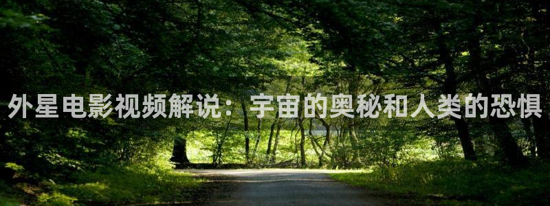 午夜神马在线观看视频