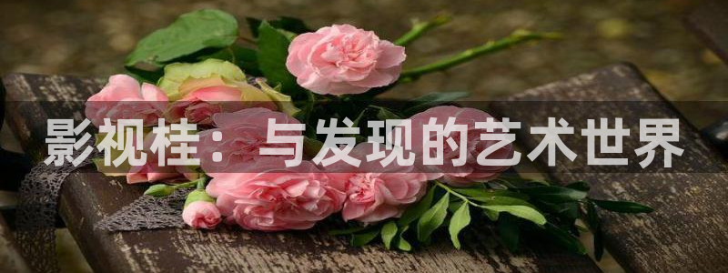 神马电影51xx