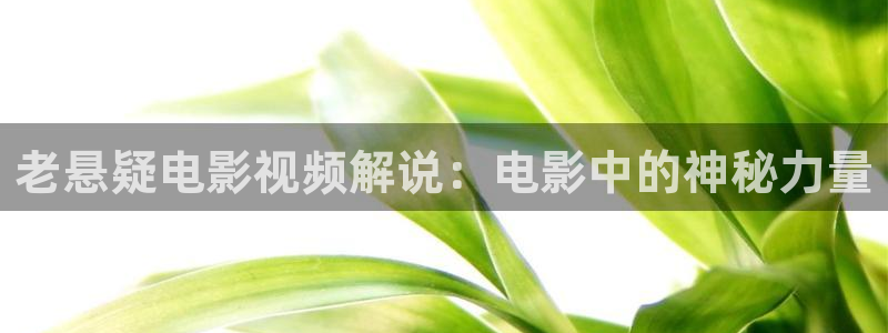 神马影院手机影院在线观看