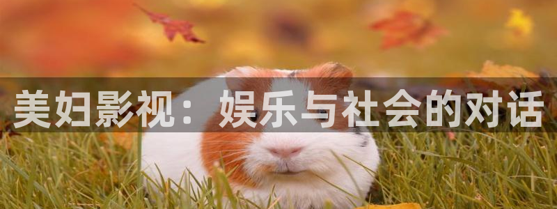 神马电影院一级