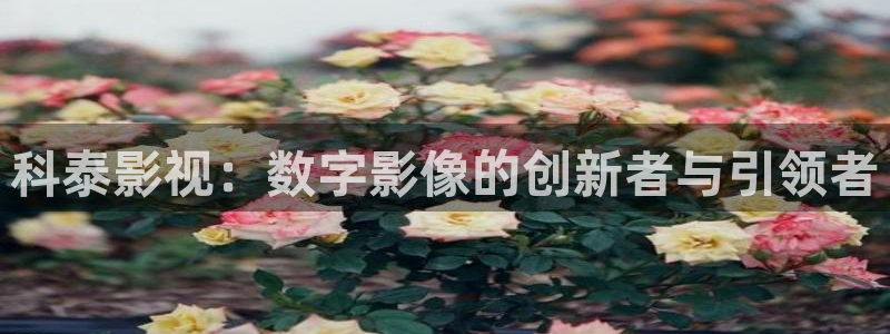 八戒神马电影院