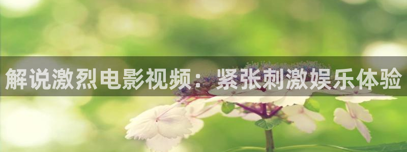 神马电影影院网
