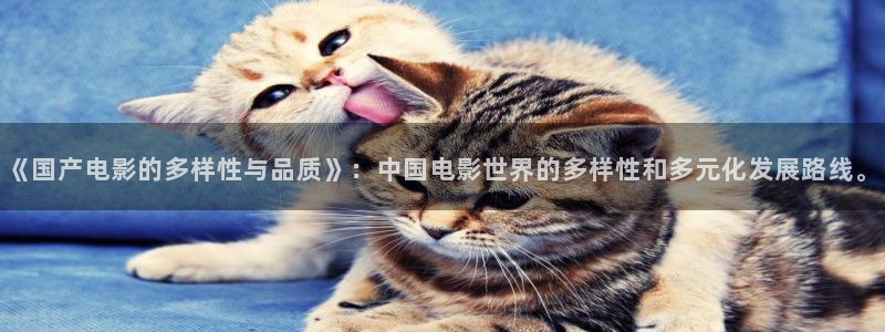 理论片神马影院