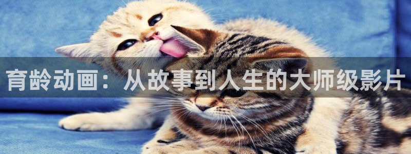 神马网站影院
