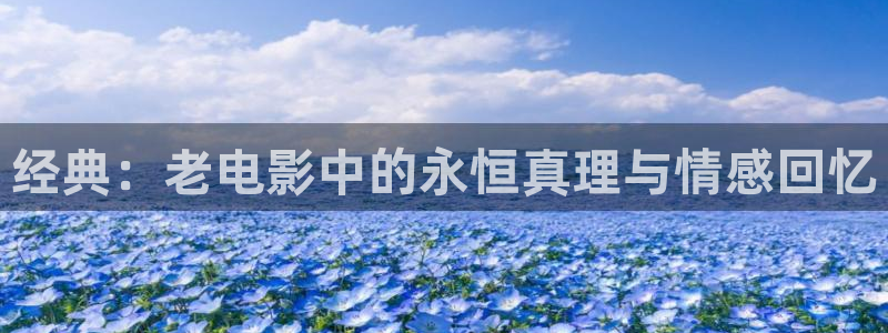 神马电影嫂子的职业