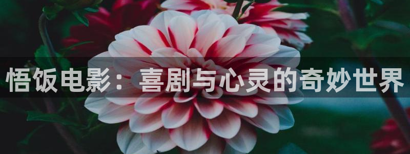 可疑的美容院神马电影