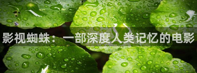 神马电影达达兔