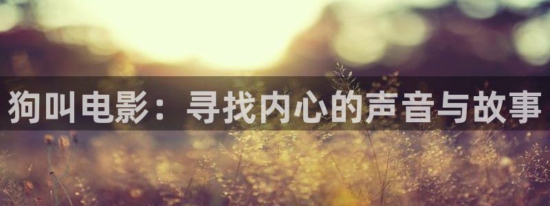 神马电影一区