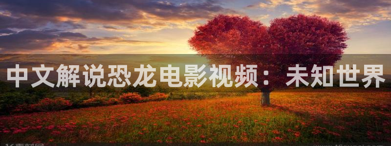 神马影院我不卡八戒