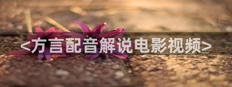 神马影院午片
