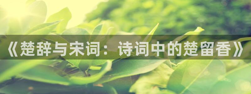 妻子的姐姐神马影院