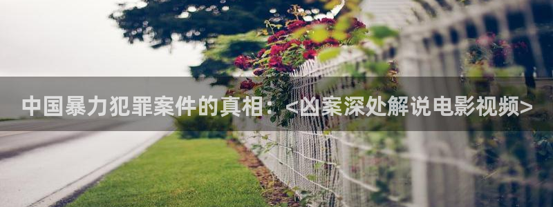 久久神马影院